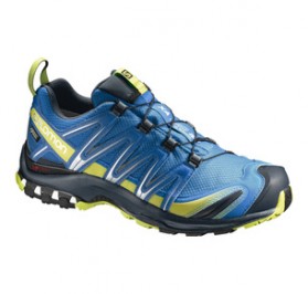 salomon 3d cloisonne