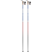 Swix triac 2.5